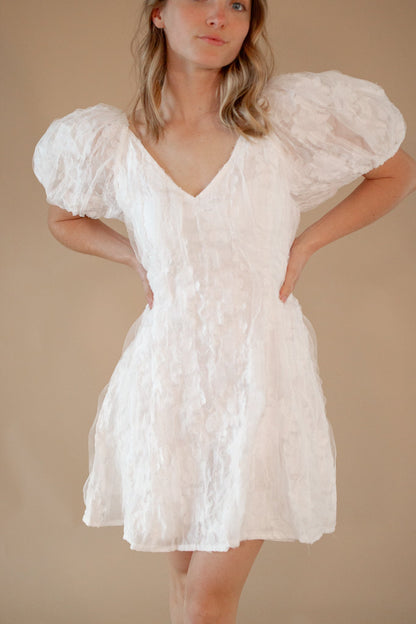Philip Lace Mini Dress